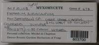 Image Associated With the Occurence